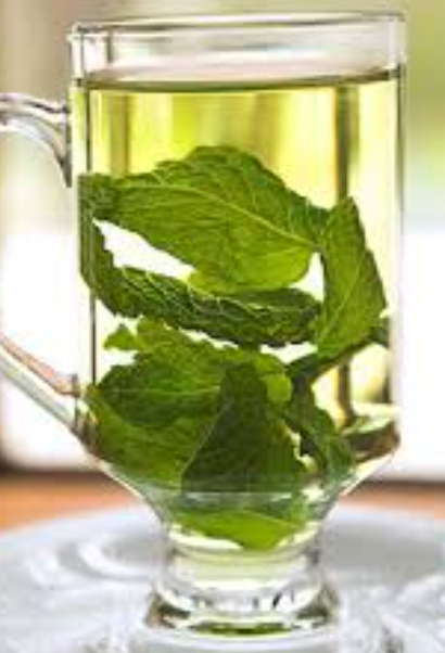 HOT WATER WITH MINT